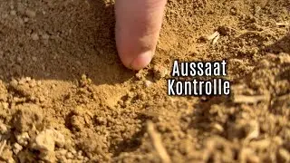 HANFANBAU 5 - Aussaatkontrolle