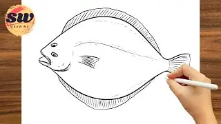 How to Draw Flatfish