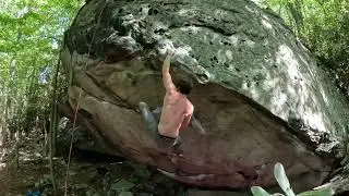 Brain Fog V10 Coopers Rock State Forest
