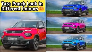 Tata Punch | Tata HBX Look in Different Colours | Tata HBX | Torque Master