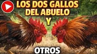 LOS DOS GALLOS DEL ABUELO Y OTROS CUENTOS
