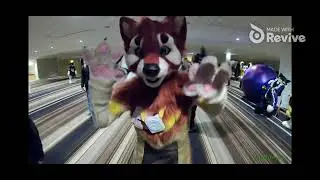JFET being the furry goat fursuiter king of the rumba beat @JFETSpeaks 