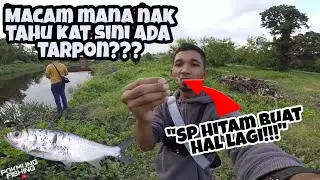 Tips Dan Cara Memancing ikan Bulan @ Tarpon di Sungai | Ultralight Fishing Malaysia