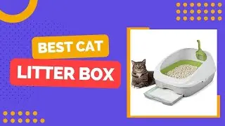 10 Best Cat Litter Box in 2022 🐱 Unbiased Review