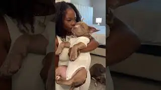 He gives me puppy fever ! #puppy #cute