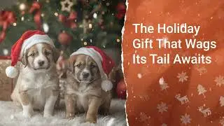 Make Memories That Last A Lifetime This Holiday With A Pet 🎁 🐶