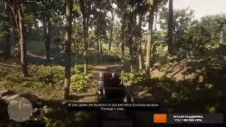 Проходим Red Dead Redemption 2