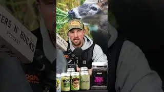 Owl and hawk attacks Tim