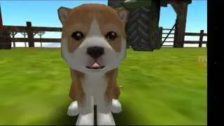 Dog Simulator 'Swift Apps LLC' Android Gameplay #2