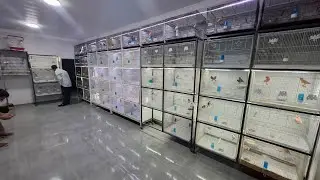 Namangan RMK qush bozori ElrizoUz в прямом эфире!