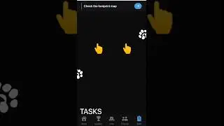 how to complete paws mystery quest today Paws Task Complete Process