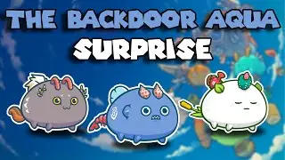 Pure BACKDOOR Aqua