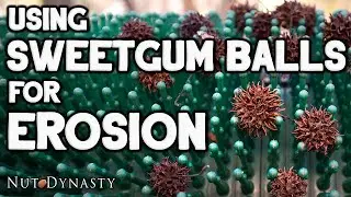 Can I Use Sweetgum Balls for Erosion? Does it really work?