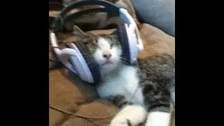 losstape.mp4