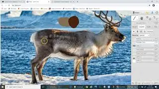 How To: Add Color to a Digital Painting with Kleki (Step 2)