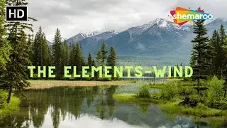 The Elements Wind | Instrumental Meditation Music | Shemaroo Health Mantra