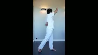 Tai chi anti-stress &ndash; D&eacute;tente profonde et &eacute;nergie en douceur