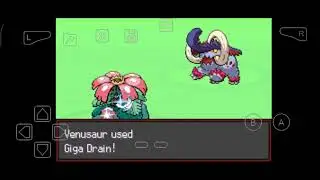 Pokemon Radical Red Rematching gym leaders