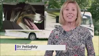 RV PetSafety - Pet Temperature Monitor | Nimble Pet App