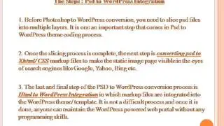 Professional WordPress Plugin Development Services.