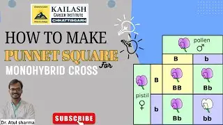 Punnet Square #genetics #biology #science #study #student #coachingonline #coaching #motivation #1k