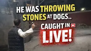 He Was Throwing Stones at dogs.. Caught in LIVE