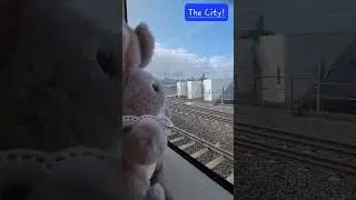 Soft toy symbolic adoption Yasmina purchased to help raise funds bunnies in care on her journey home
