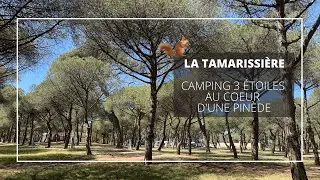 La Tamarissière - Camping au cœur d'une pinède