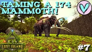 Ark: Lost Island Adventures Ep. #7 Taming a 174 Mammoth!