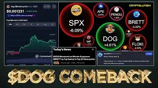 $DOG (Bitcoin) Weekend Comeback will be Studied.