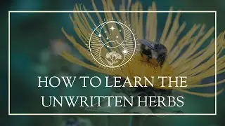 How to Learn the Unwritten Herbs