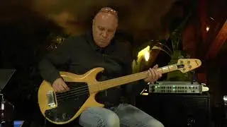 Gibson Grabber Bass from 1974 presented by Vintage Guitar Oldenburg