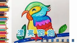 【漂亮鹦鹉】 儿童画 | 简笔画 | 宝宝学画画 | 亲子教育| 张老师儿童创意美术课