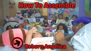 How to assemble  Angelica Reborn Collectible for adults