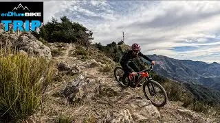 Ce Spot VTT est incroyable !