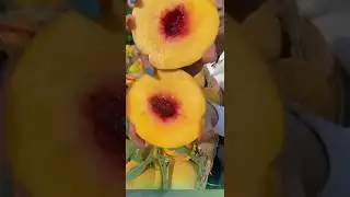 Farm fresh ninja fruit cutting #20 | Ly Chynh St  #shorts @F_N_