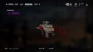 Rainbow Six siege: Top 5 skins 2017 !!!