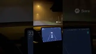Tesla обнаруживает призраков на дороге!