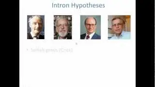 Forsdyke Evolution Academy Lecture 03 Introns First