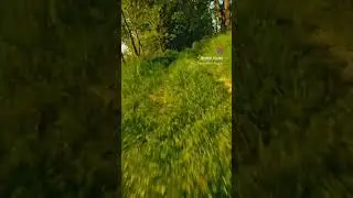 Close call 😉 #shorts #fpvdrone #drone #closecall #fpv