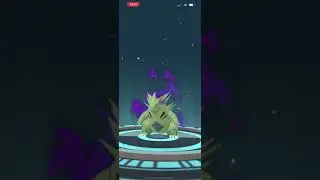 evolving shadow pupitar into tyranitar