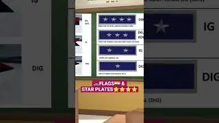 🚓FLAGS🇮🇳 & STAR PLATES⭐on Vehicle of IPS officers(DIG⭐,IG⭐⭐,DGP⭐⭐⭐ & DIB⭐⭐⭐⭐)|| #ips #flag #stars