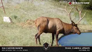 Elk Canyon Ranch- Trail Camera Video 2025