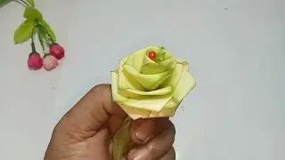 Rose tutorial