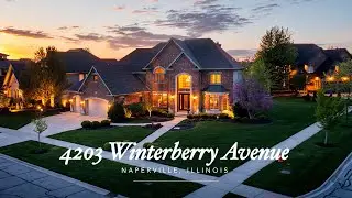 HOME FOR SALE: 4203 Winterberry Ave, Naperville, IL