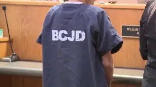 Teen accused in shooting death of 8-year-old brother to remain detained
