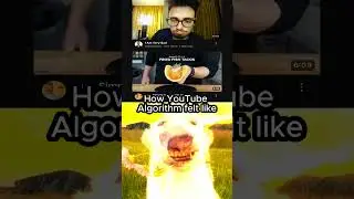 YouTube algorithm 😉 #memes #funny #shorts