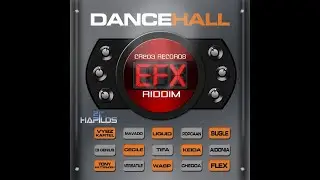 dancehall efx riddim mix 2010 dancehall