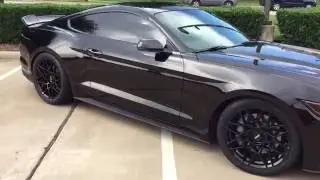 2015 Mustang GT UPDATE | Eibach Sportlines and drag radials!