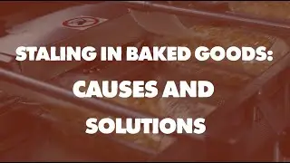 Staling in Baked Goods: Causes and Solutions | BAKER Academy | BAKERpedia